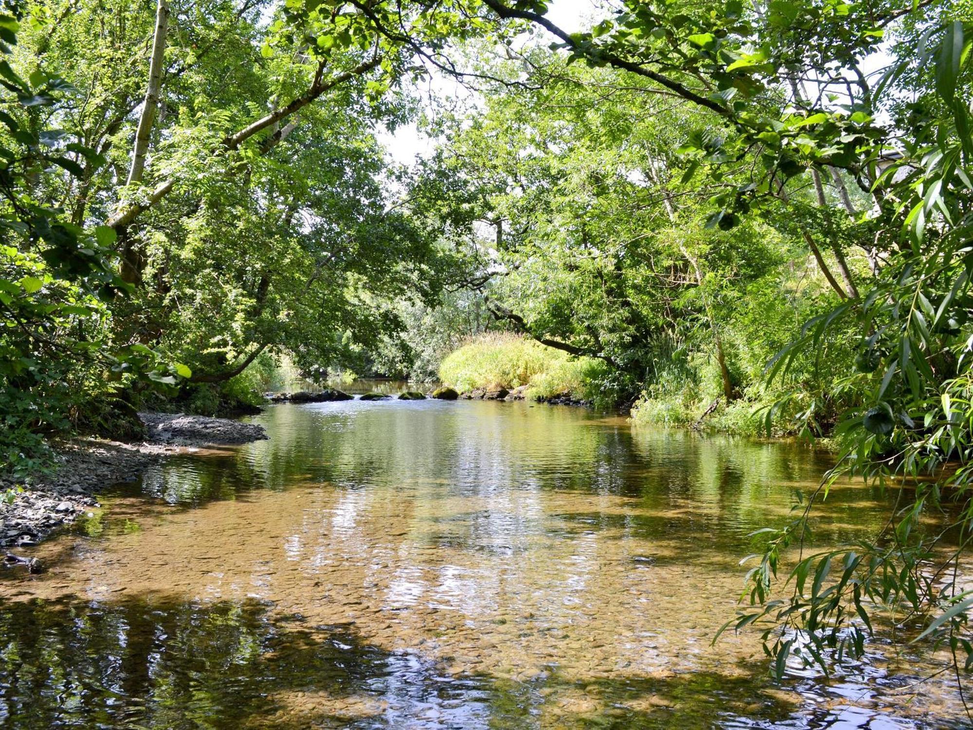 הוילה Llanrhaeadr-ym-Mochnant Ty Rhyd מראה חיצוני תמונה
